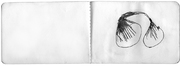 dessin026.jpg